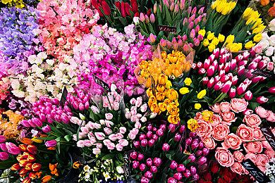 被发行商坑到下架的国产休闲贸易模拟《中华一商：传承》限时免费上架