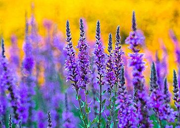 立即确认现已发布的“第一后裔”《突破》抢先试玩版本内容