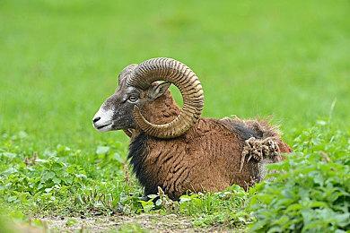 国产动作RPG《赵云传重制版》 现已上线Steam平台